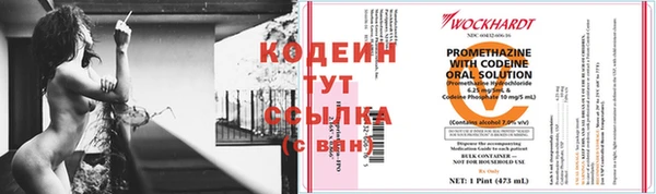 apvp Гусев