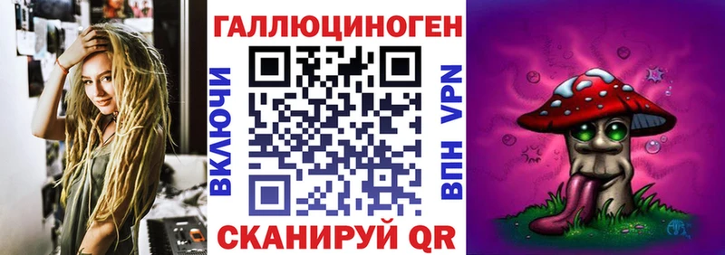 Галлюциногенные грибы Psilocybe  где купить наркотик  Дальнереченск 